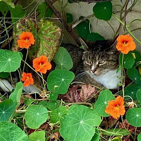 Appartement Wunderlich - Familienfreundliche Bei Potsdam Und Berlin Michendorf
